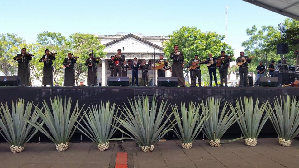 Festival de Música y Artes de Chacala (ChacaFest)