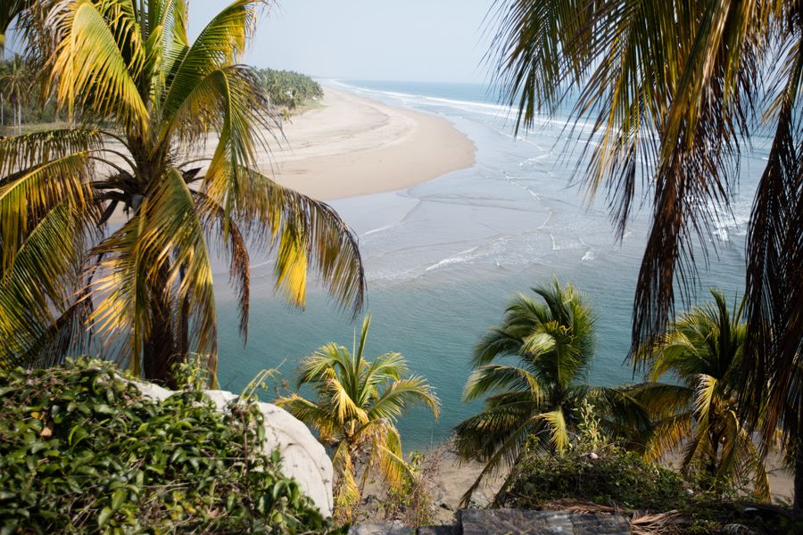 Palmeras y Playa Virgen